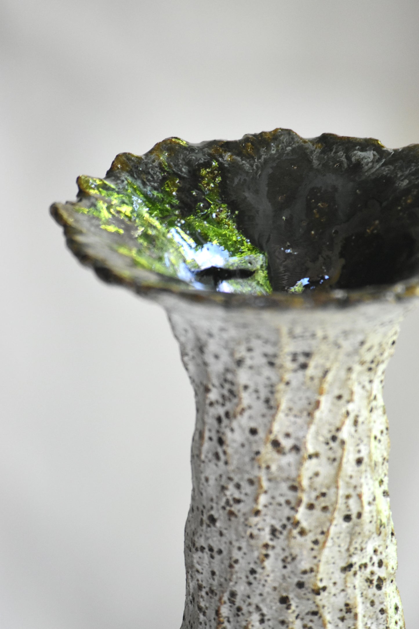 Wide Neck Vase - Speckled Tall