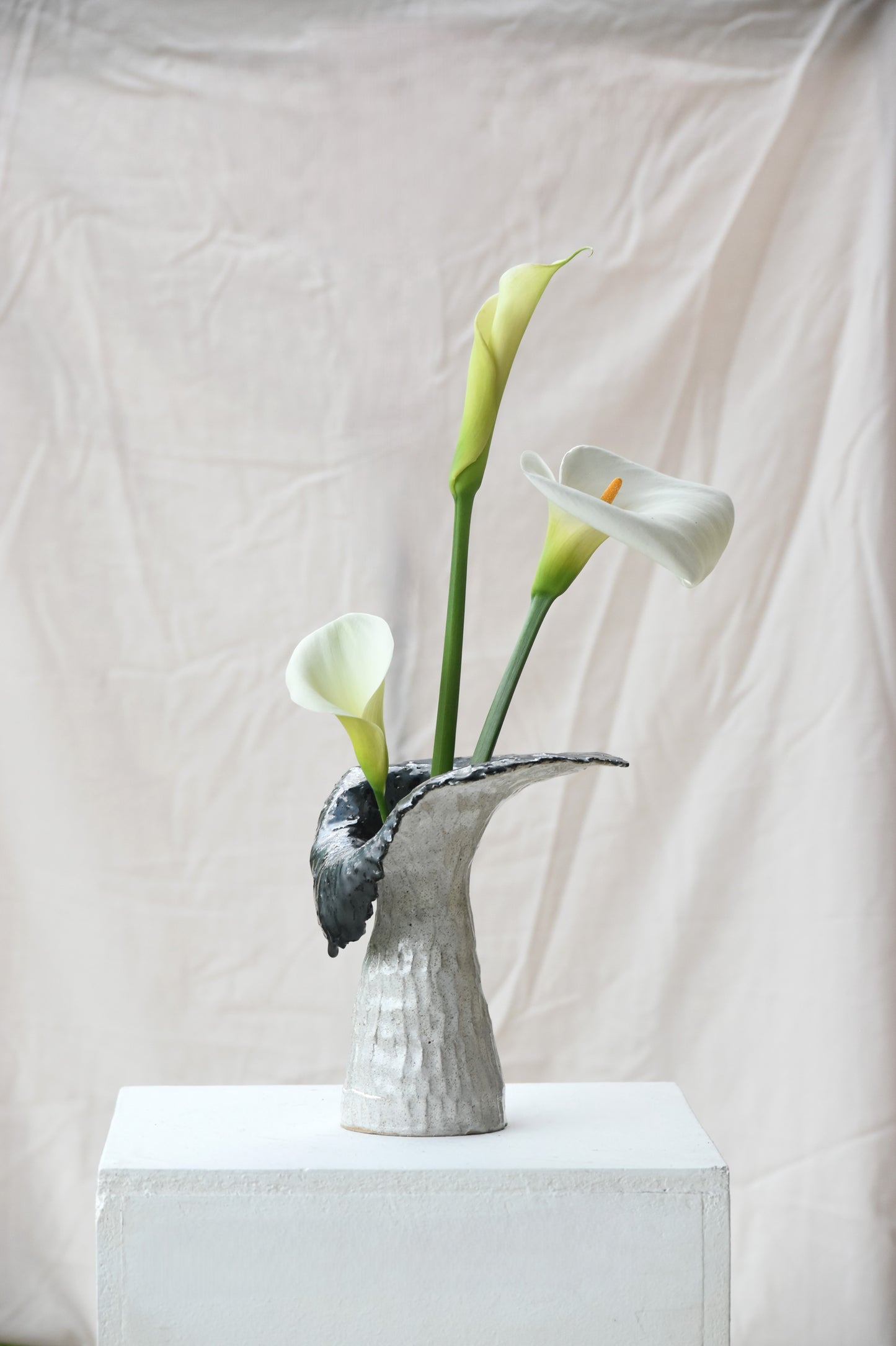 Lily Vase - White & Black