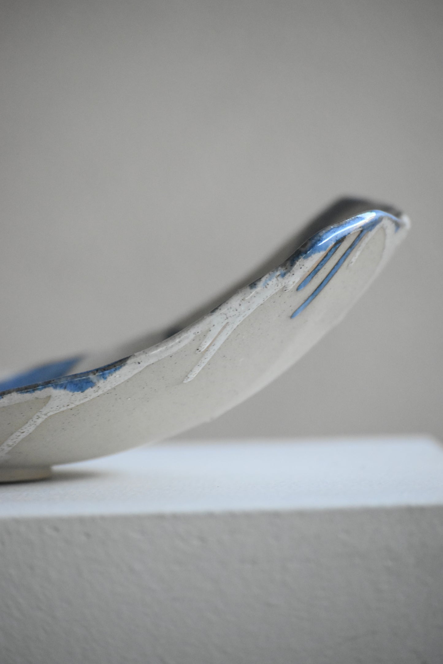 More than a bowl - White and blue