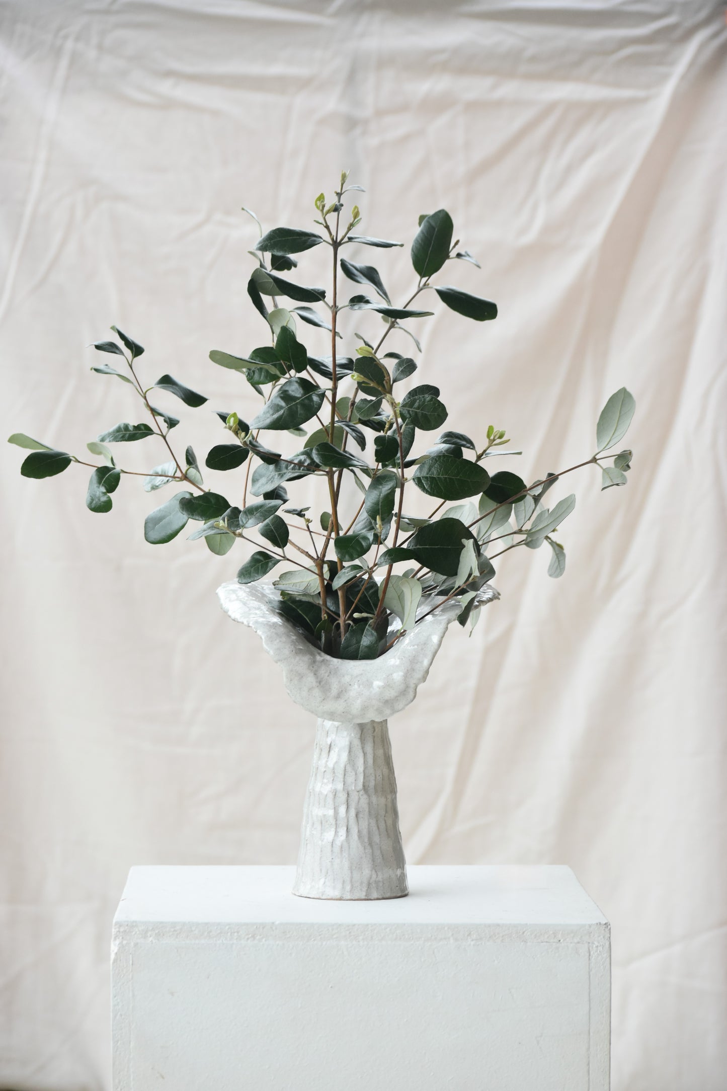 Lily Vase White