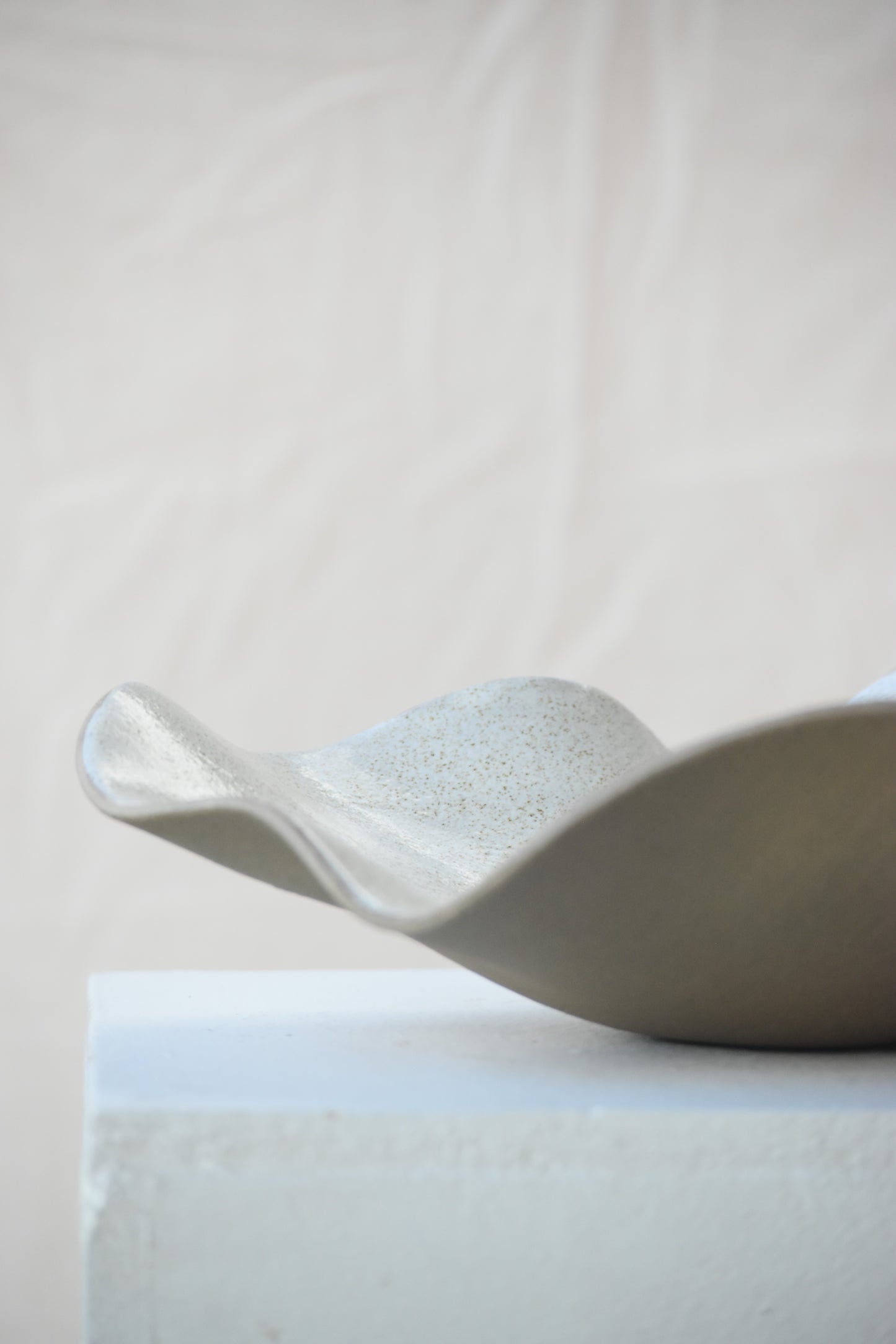Speckled wave bowl